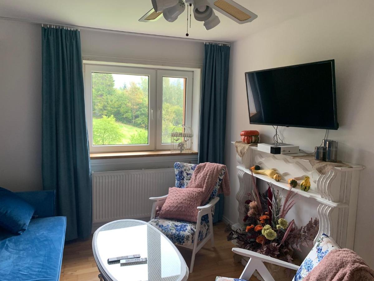 Apartment Zakrzywek Wyjatkowy W Krzywe K/cisnej *